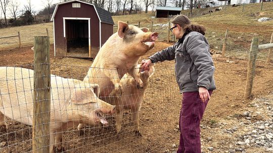 Animals ‘So Deserving Of Love’