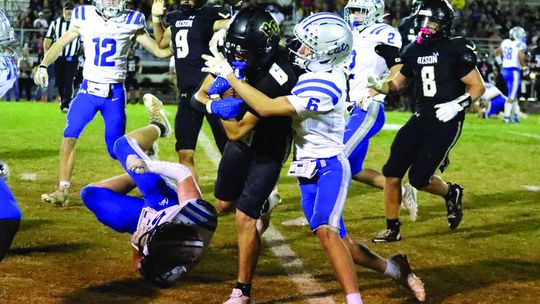 Bison Run Past ‘Cats, 59-14