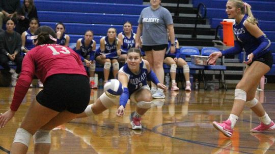 ‘Cats Handle Waynesboro