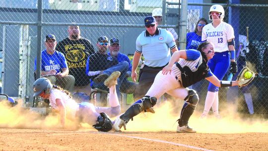 ‘Cats Pound Blues, 17-0