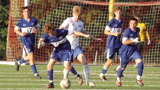 ‘Cats Take Down Fort