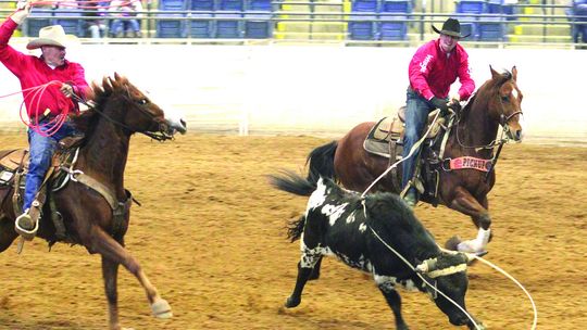 Fast Action At The VHC