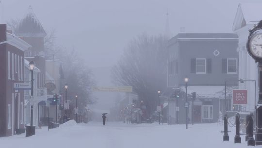 Fern Leaves Ice, Cold