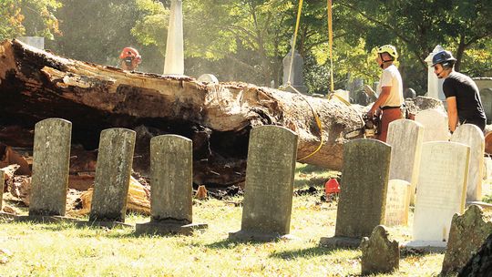 Gravestone Restorations Will Take Months