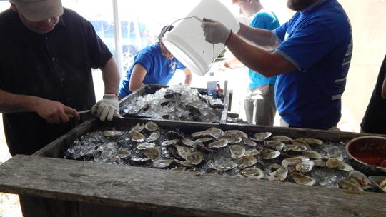Bull & Oyster Fest Ends 19-Year Run