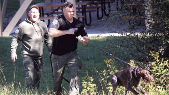 Sniffing Experts
