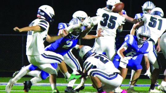 Storm Hold Off ‘Cats