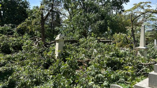 Storms leave behind damage, power outages in Lexington