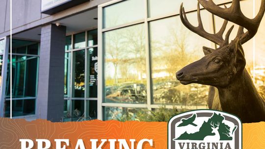 Suspected hemorrhagic disease in deer reported in VA
