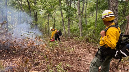 Taylor Hollow Fire 40 Percent Contained