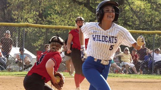 Wildcats Go 2-1 In Softball