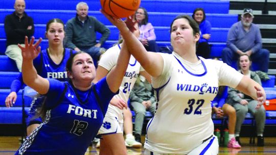 Wildcats Sink Fort