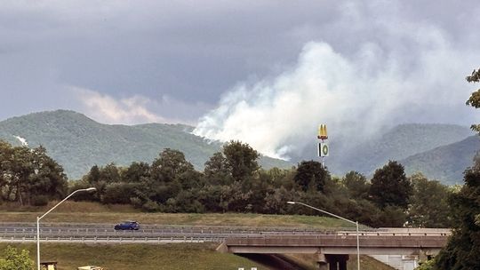 Wildfire Starts In National Forest