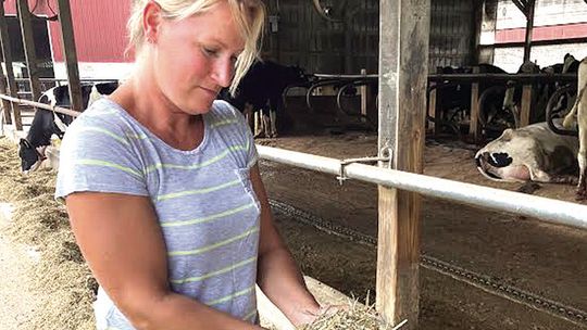 Women Farmers A Tradition At This Rockbridge Dairy