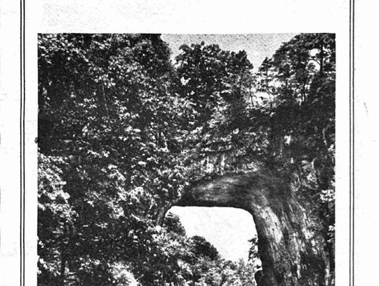 50 Years Of Conservation