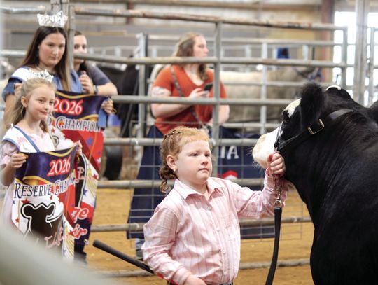 All At The Fair