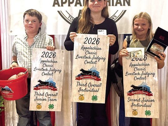 Among Top Judges