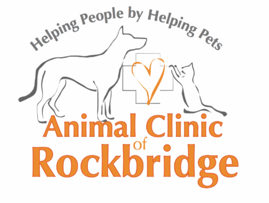 Animal Services: An Interview at Animal Clinic of Rockbridge