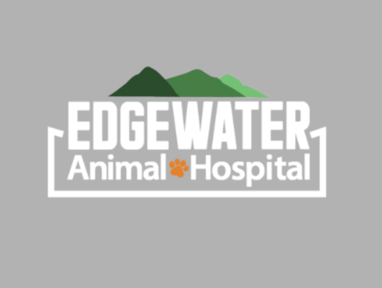 Animal Services: An Interview at Edgewater Animal Hospital