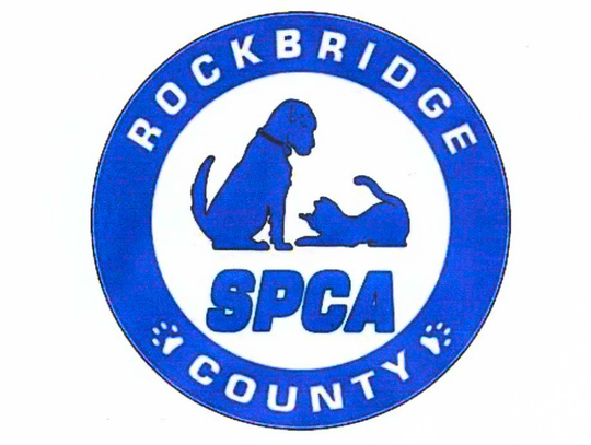Animal Services: An Interview at the Rockridge SPCA