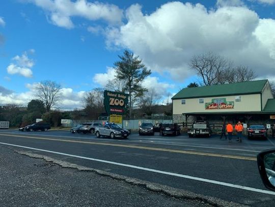 Animals Confiscated As Investigation Continues At Natural Bridge Zoo