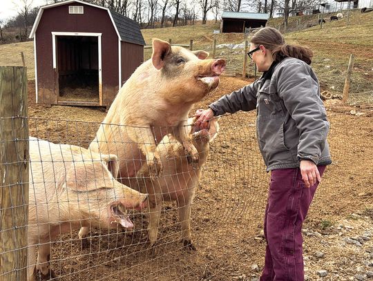 Animals ‘So Deserving Of Love’