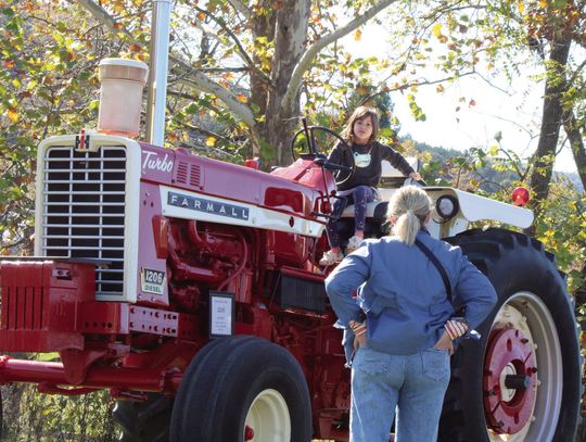 Apple Butter And More