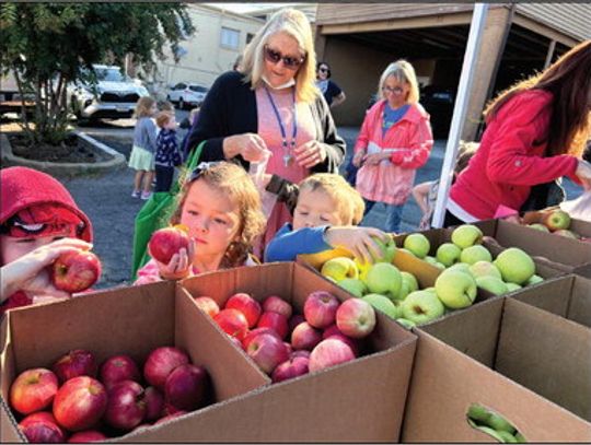 Apple Fest At The Market