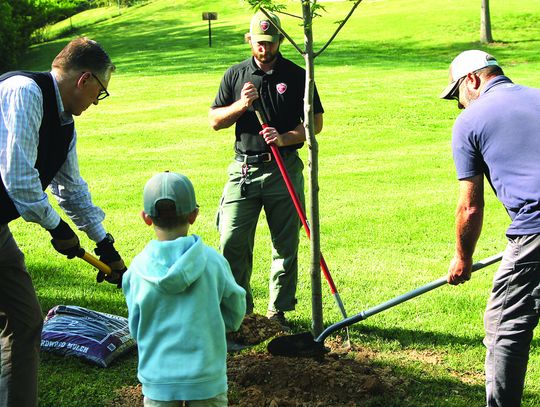 Arbor Day Tree Planting
