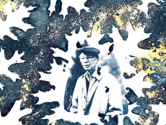 Artist Pays Tribute To Boxerwood