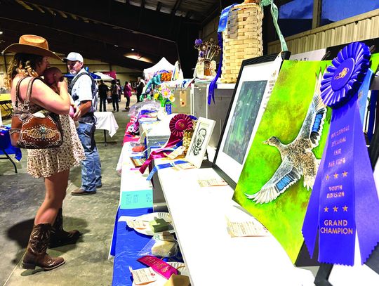 Artistic, Tasty Entries Win At Fair Expo