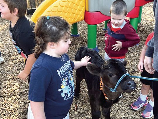 At The Early Learning Center