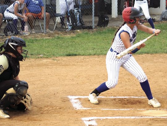 Bison Silence Blues’ Bats