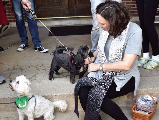 Bless The Beasts And Children