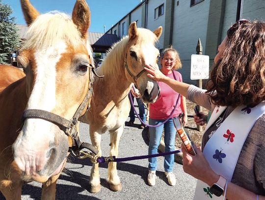 Blessing Of The Animals