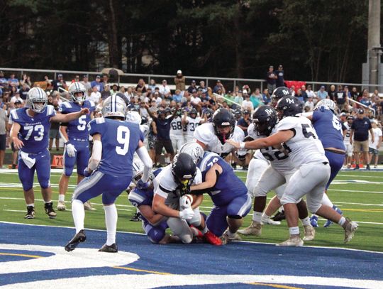 Blues Dominate ‘Cats In Season Opener