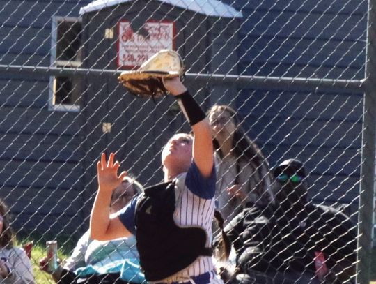 Blues Split Softball Pair