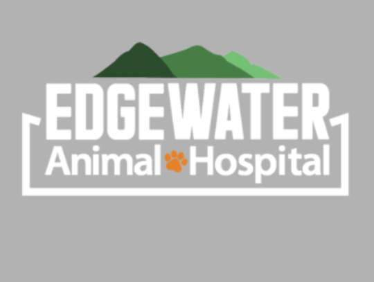 BV Animal Clinic Closes