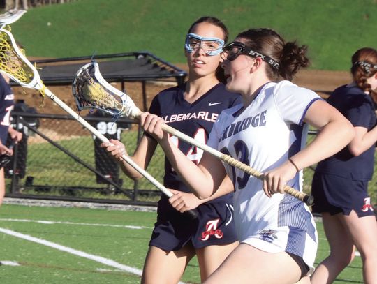 ’Cats’ Dominance Continues