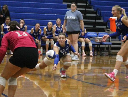 ‘Cats Handle Waynesboro