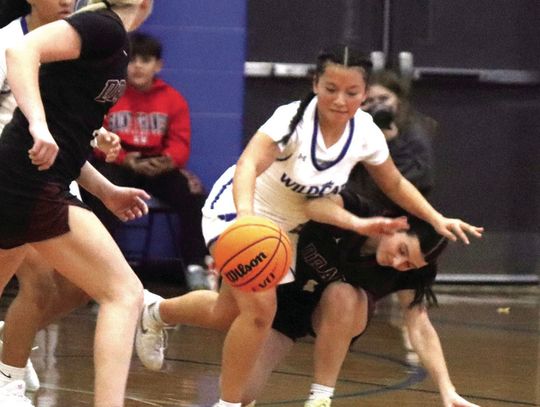 ‘Cats Hold Off Storm