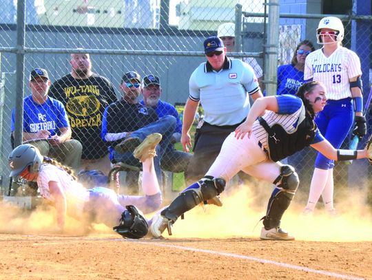 ‘Cats Pound Blues, 17-0