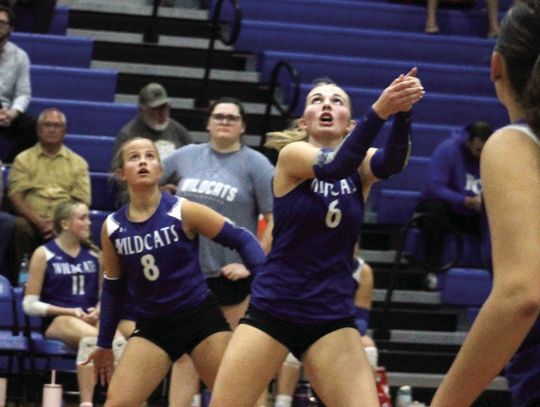 ‘Cats Split Shenandoah Slate