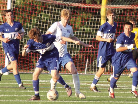 ‘Cats Take Down Fort