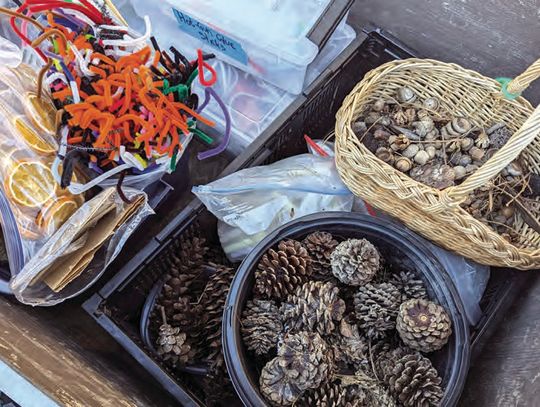 Celebrating Gifts Of Nature