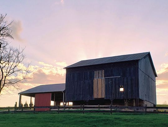 Coming Up At The Barn