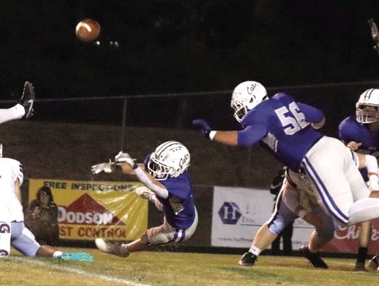 Cougars Outclaw ‘Cats, 39-0