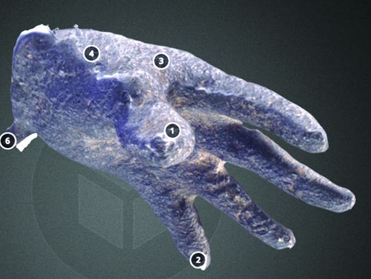 ‘Cycles Of History’