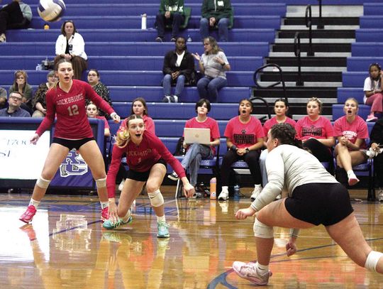 Depleted Wildcat Squad Falls To Wilson