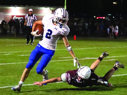 Draft Breezes Past Wildcats